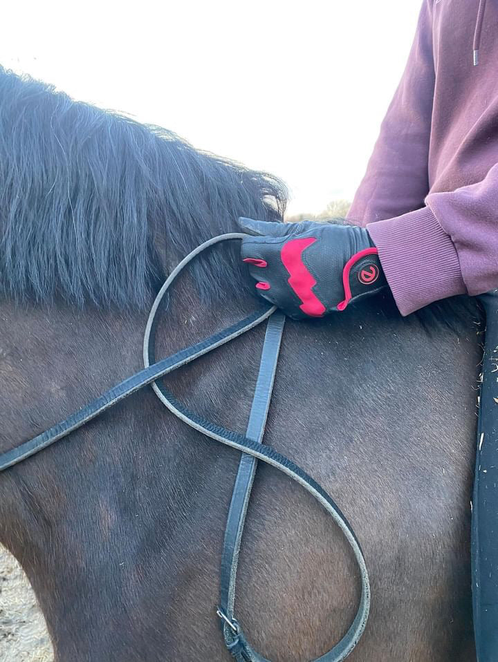 eQUEST GripPro LITE v3 Equestrian Gloves - Black / Red