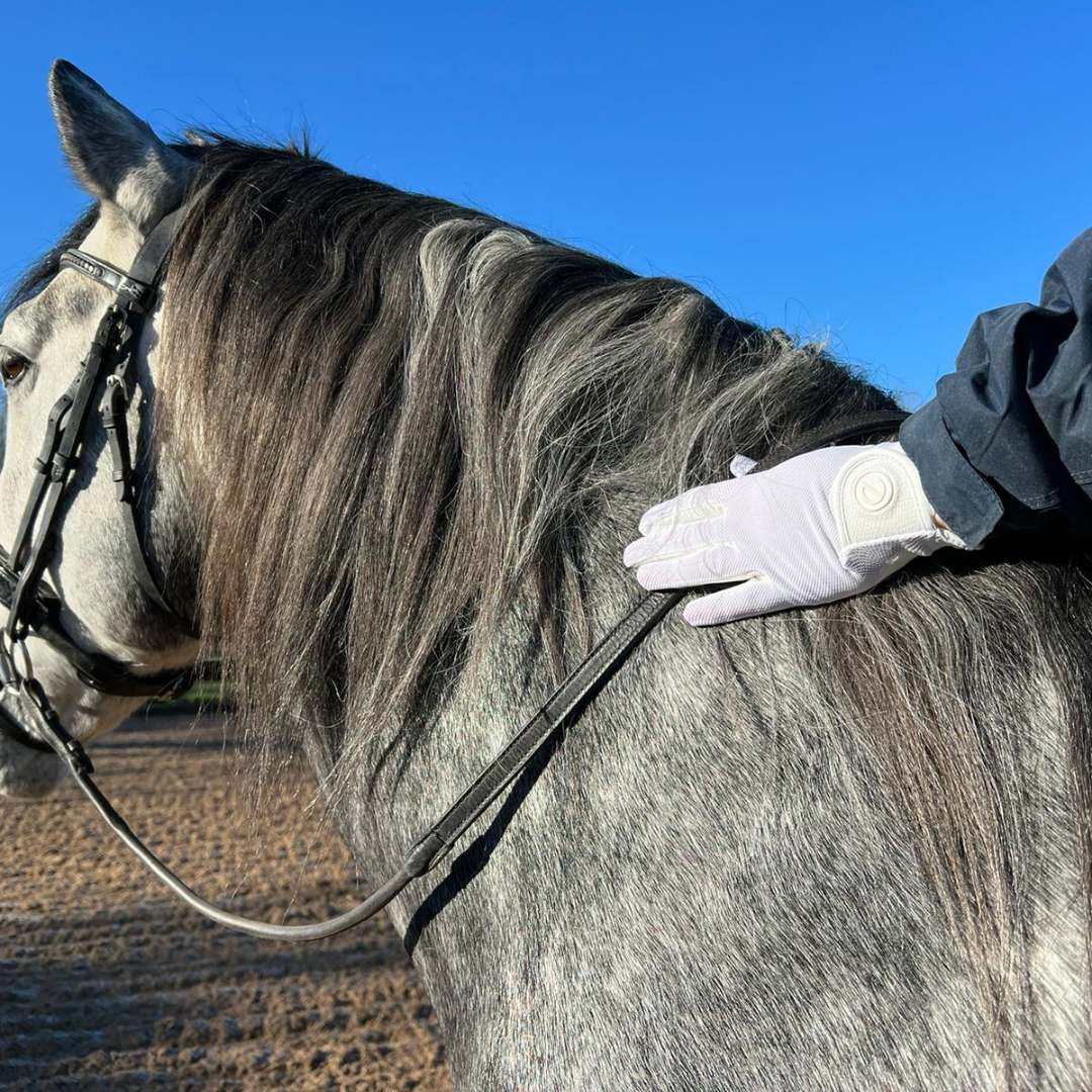 eQUEST GripPro X-LITE Lightweight Equestrian Gloves - White - Plain Cuff