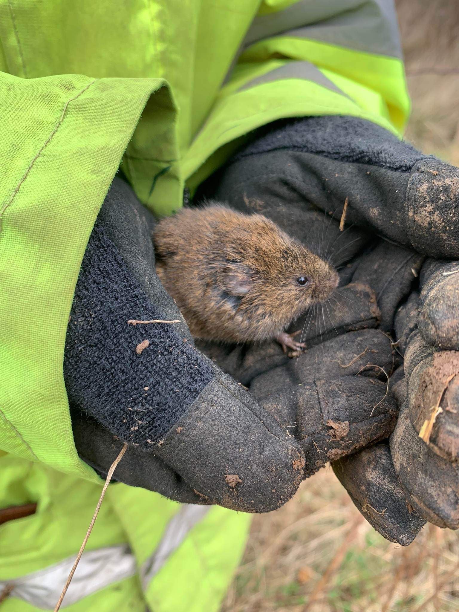 CragClimb - Climbing and Bouldering Gloves - All Black - END OF SEASON SALE