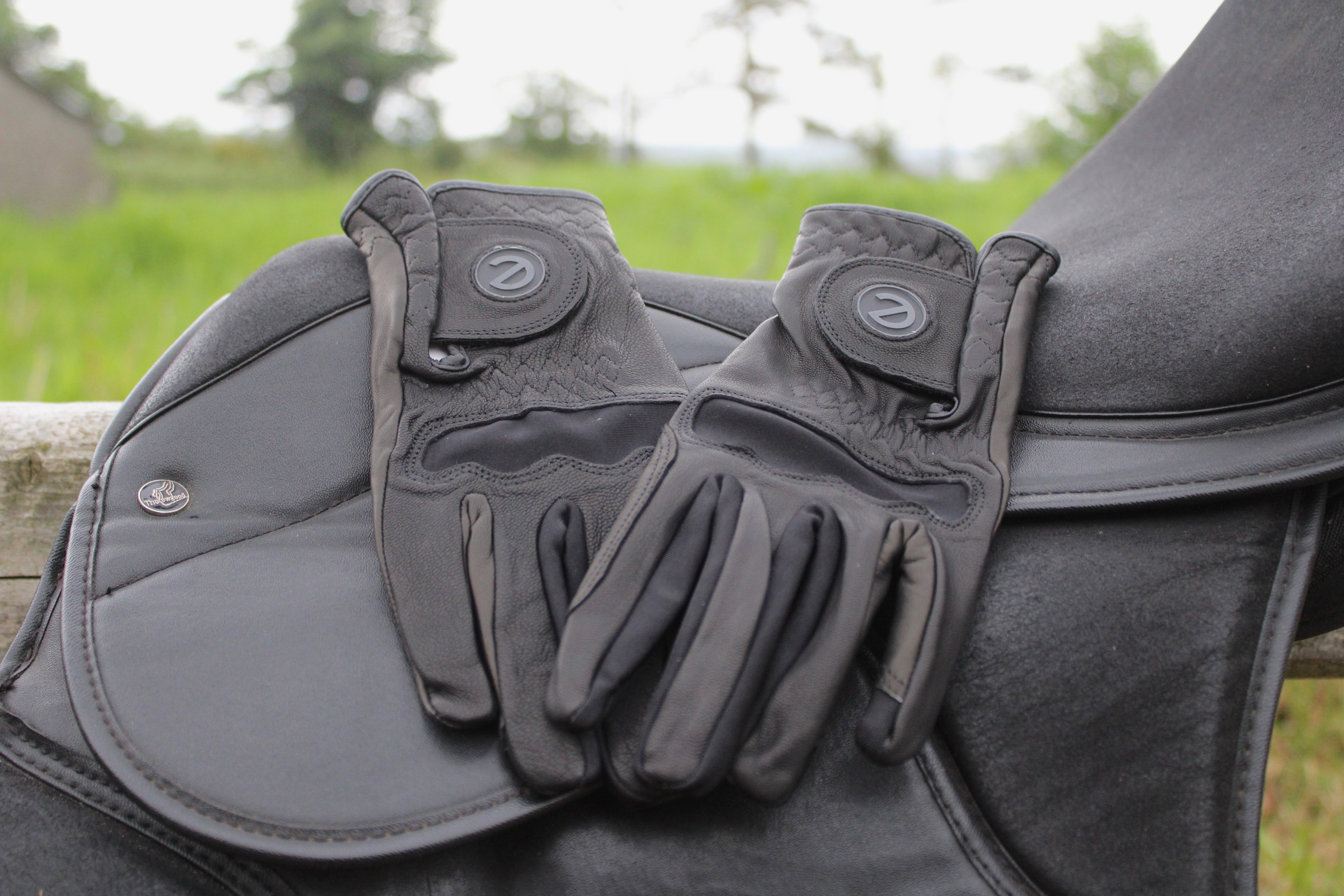 eQUEST GripPro LEDER Reithandschuhe – Schwarz | Premium Ziegenleder
