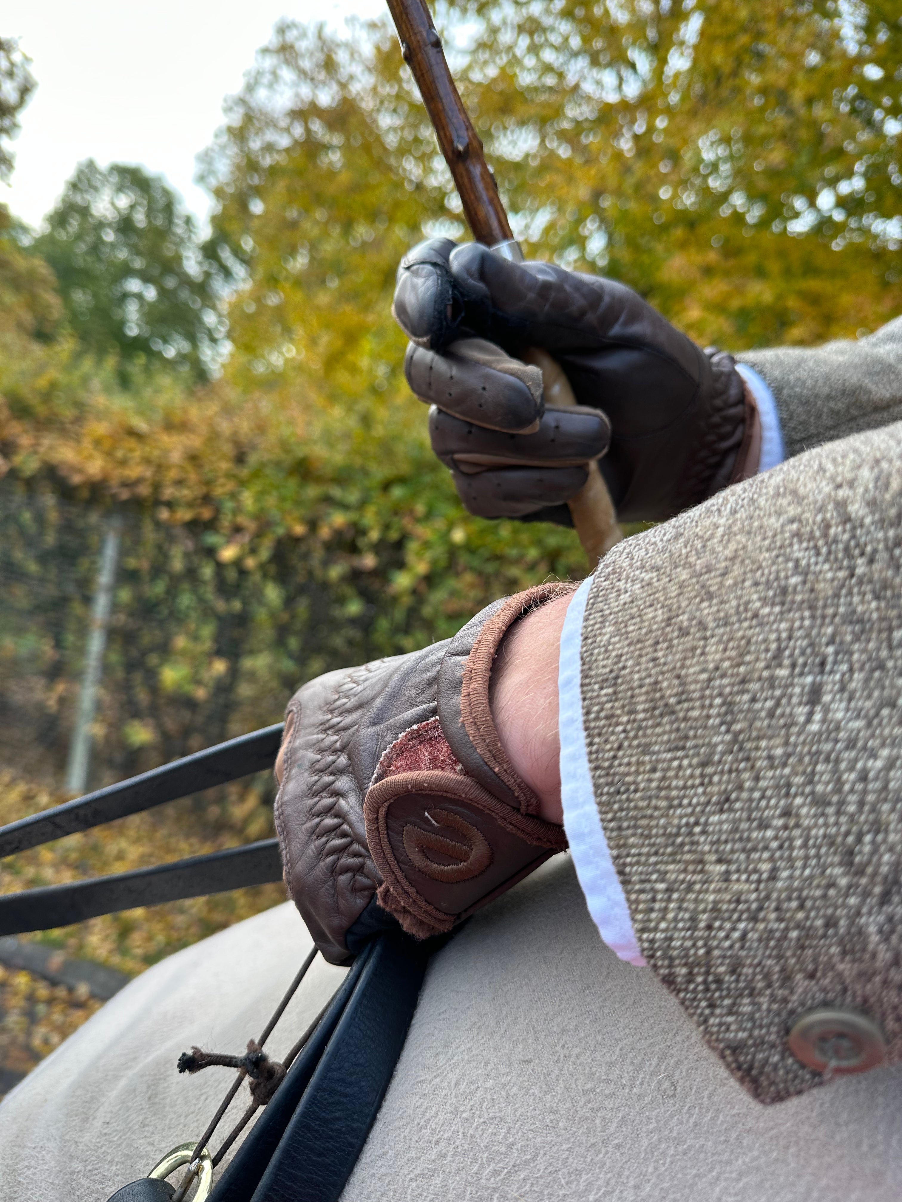 eQUEST GripPro LEATHER - Equestrian Riding Gloves - Chocolate Brown