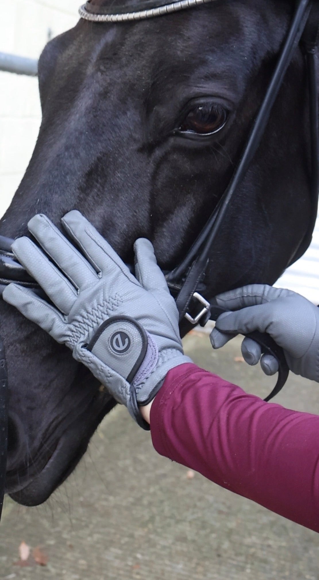 Person wearing gray gloves interacting with a horse's bridle
