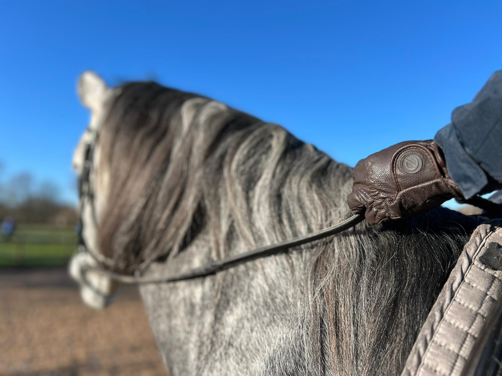 eQUEST GripPro Winter Edition - Award Winning Winter Equestrian Riding Gloves - Brown