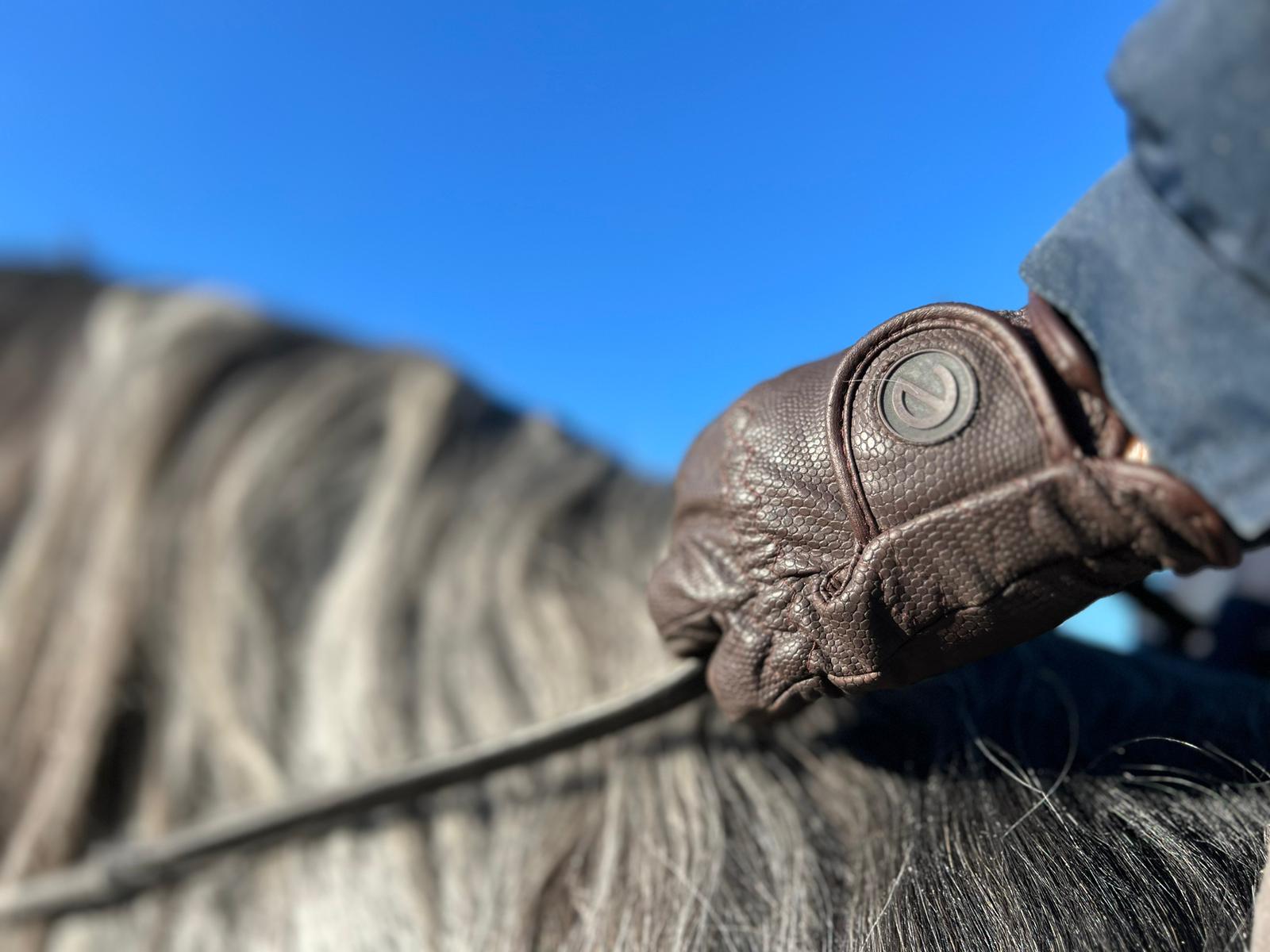 eQUEST GripPro Winter Edition - Award Winning Winter Equestrian Riding Gloves - Brown