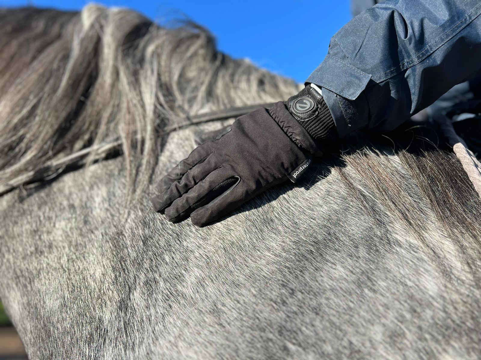 eQUEST Waterproof - Equestrian Riding & Yard Gloves - Black