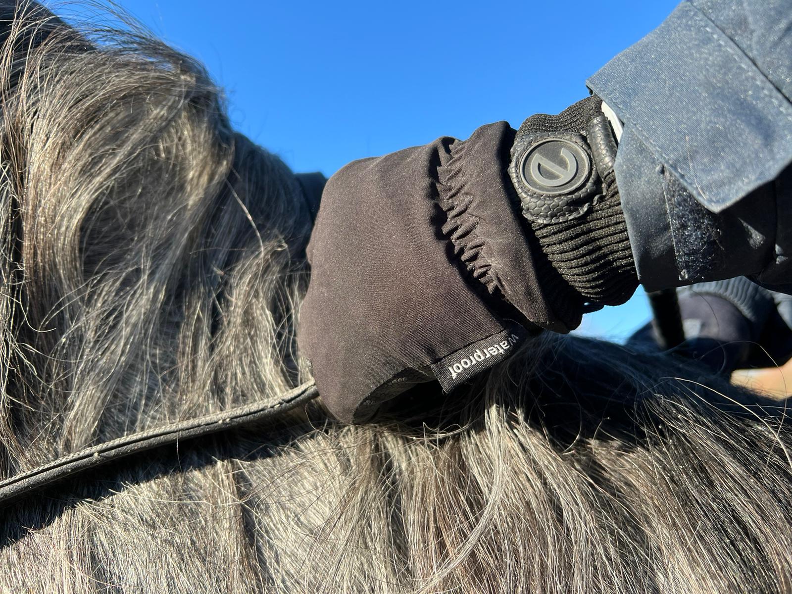 eQUEST Waterproof - Award Winning Waterproof Equestrian Riding & Yard Gloves - Black