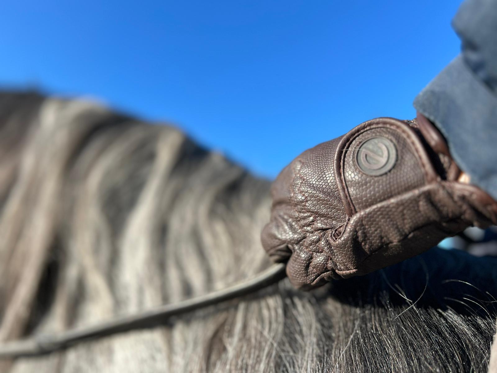 eQUEST GripPro Winter Edition WATERPROOF - Award winning Waterproof Winter Equestrian Riding Gloves - Brown