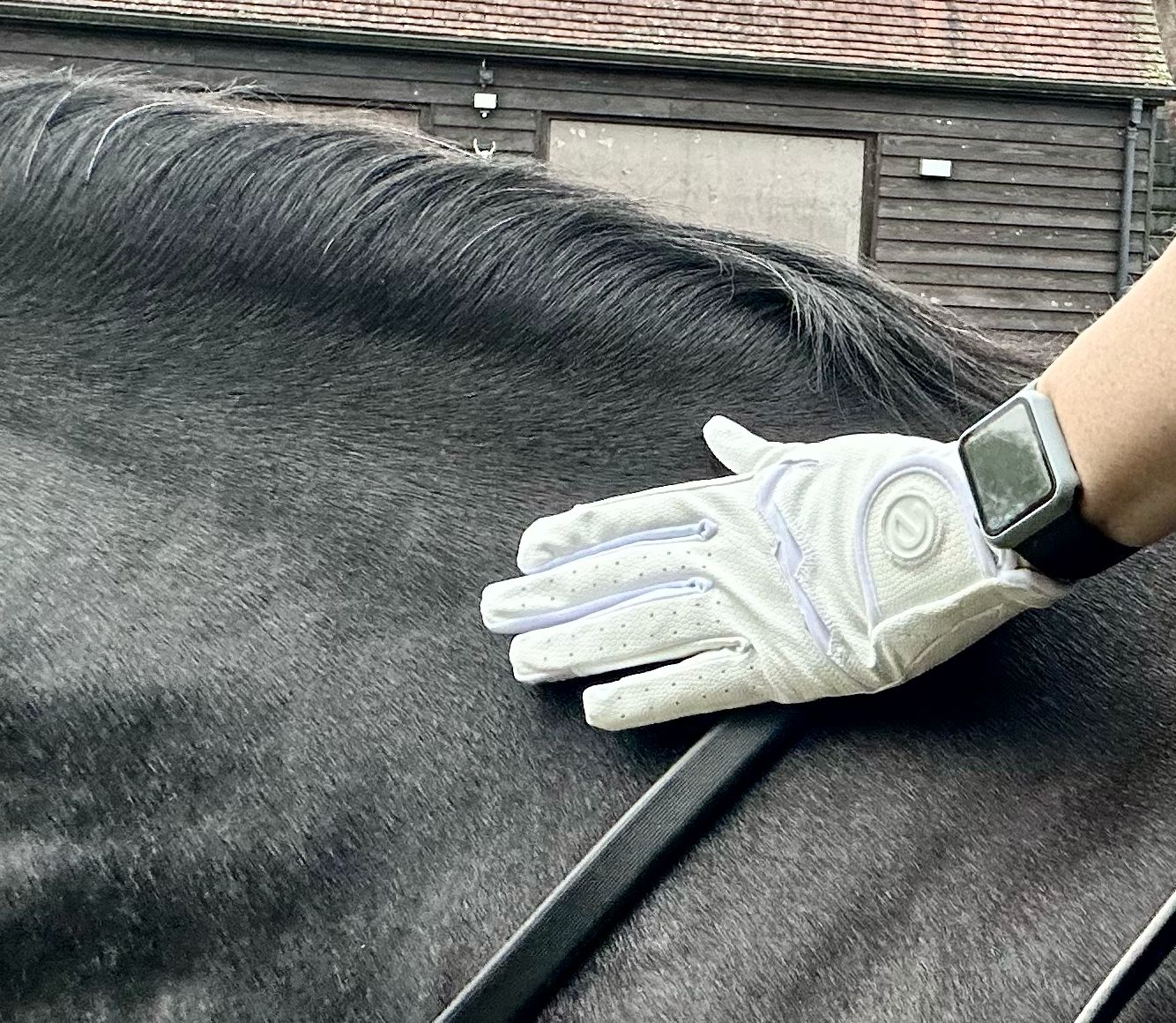 eQUEST GripPro LITE v3 Equestrian Gloves - White / White