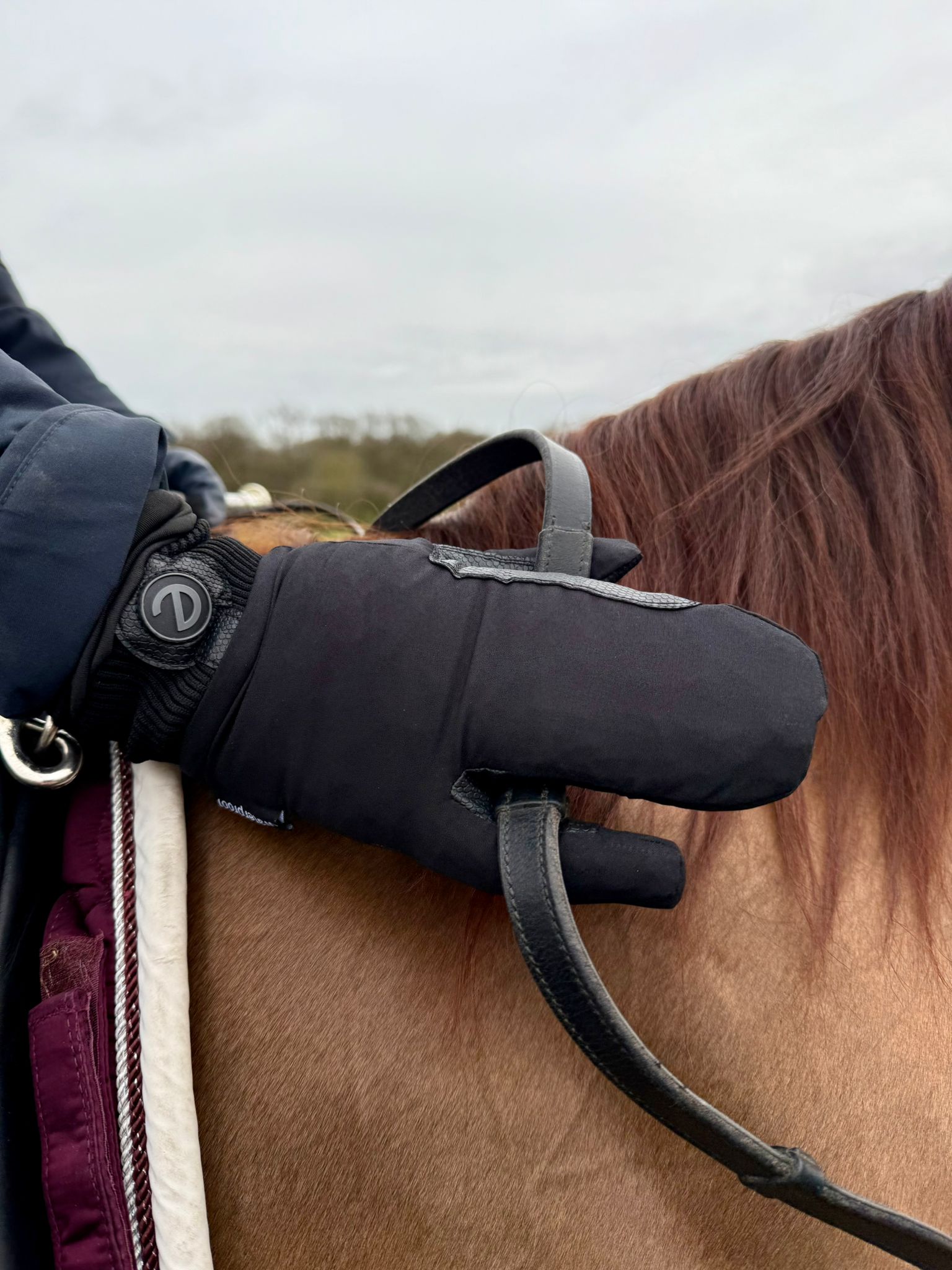 eQUEST Waterproof Mitt - eGLOVE x Forelock & Fringe Equestrian Riding & Yard Mitt - Black