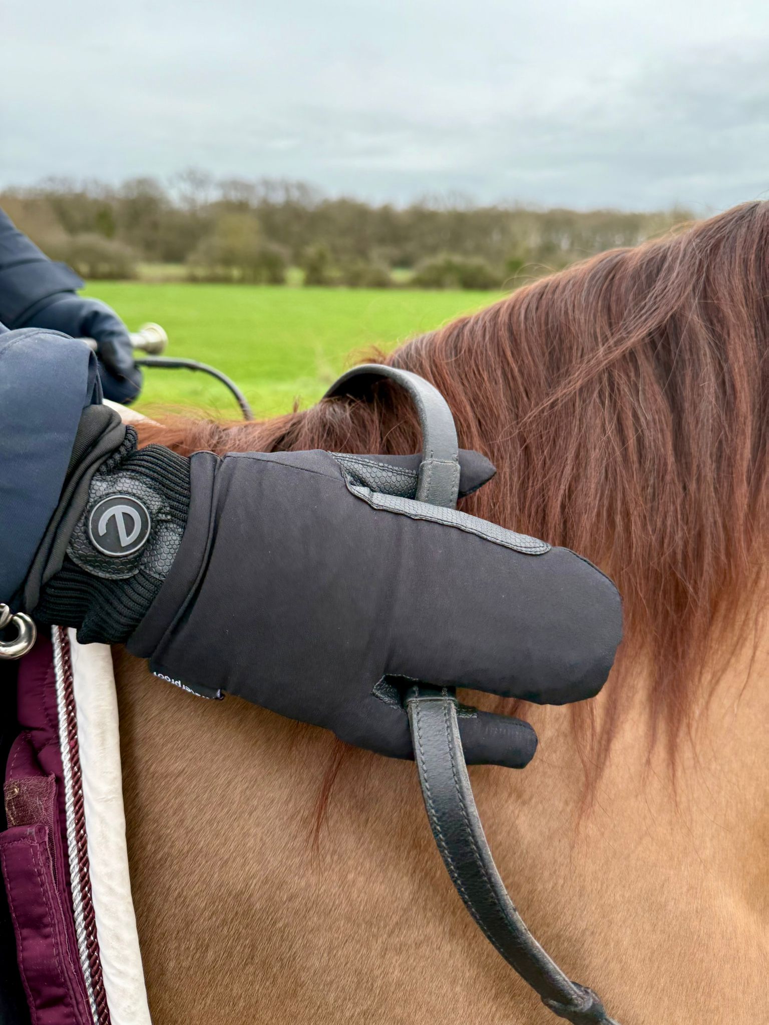 eQUEST Waterproof Mitt - eGLOVE x Forelock & Fringe Equestrian Riding & Yard Mitt - Black