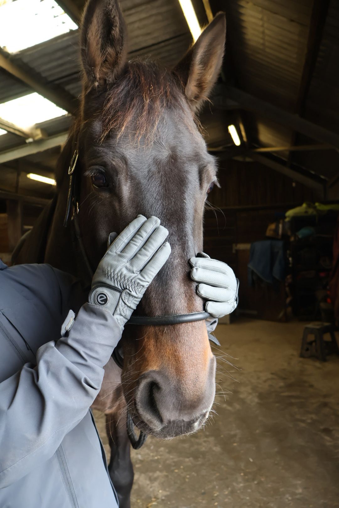 eQUEST GripPro Winter Edition - Award Winning Winter Equestrian Riding Gloves - Grey