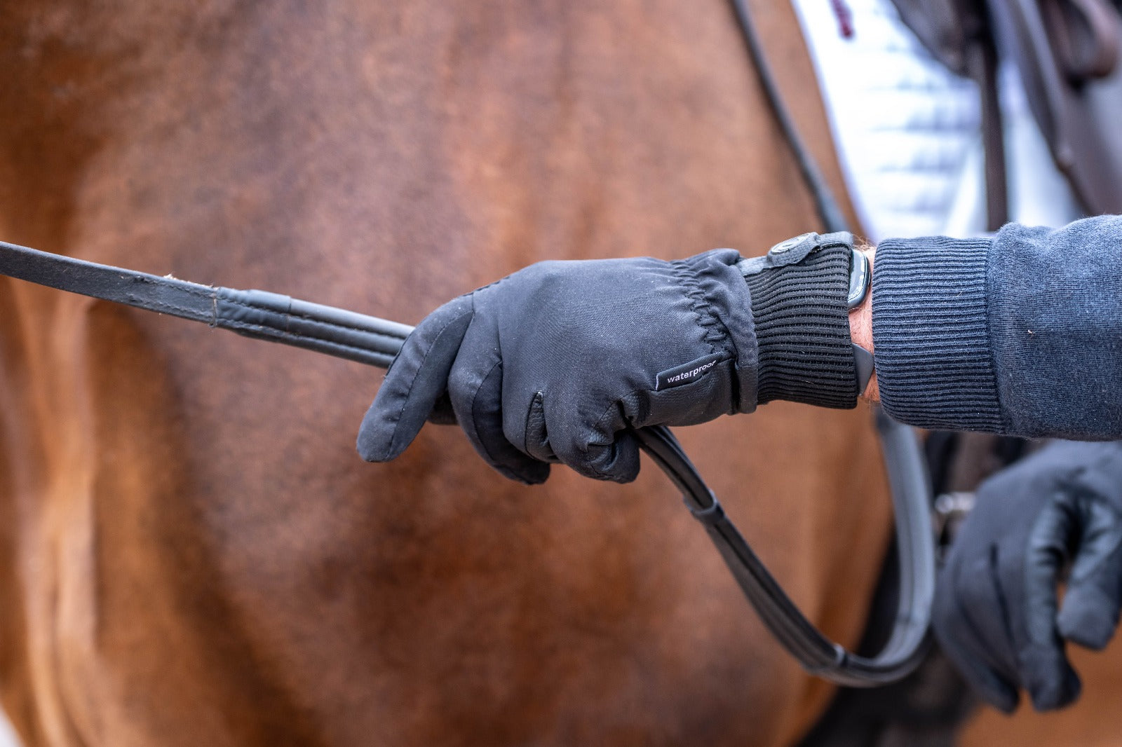 eQUEST Waterproof - Equestrian Riding & Yard Gloves - Black