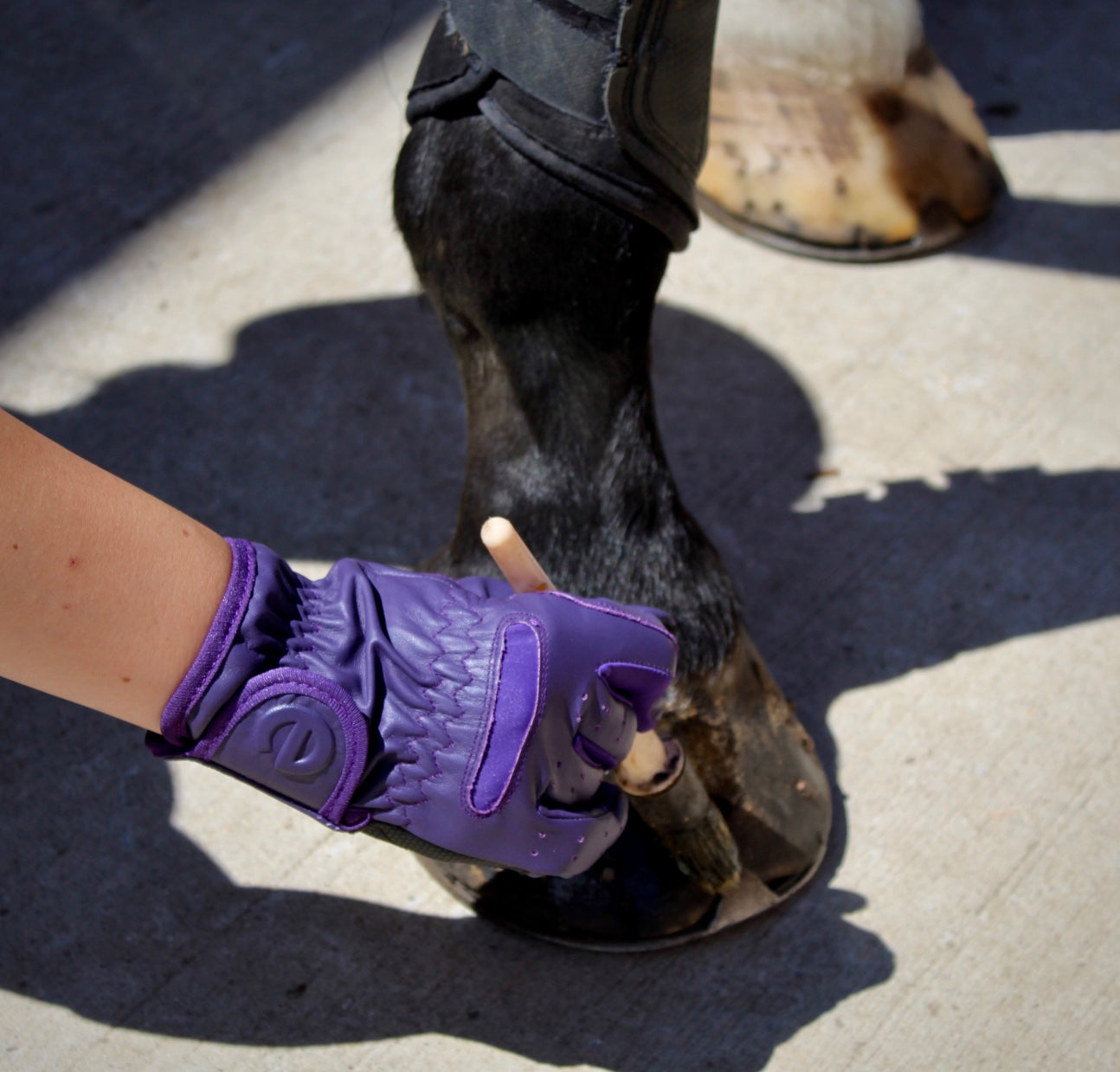 eQUEST GripPro LEATHER Equestrian Riding Gloves - Purple