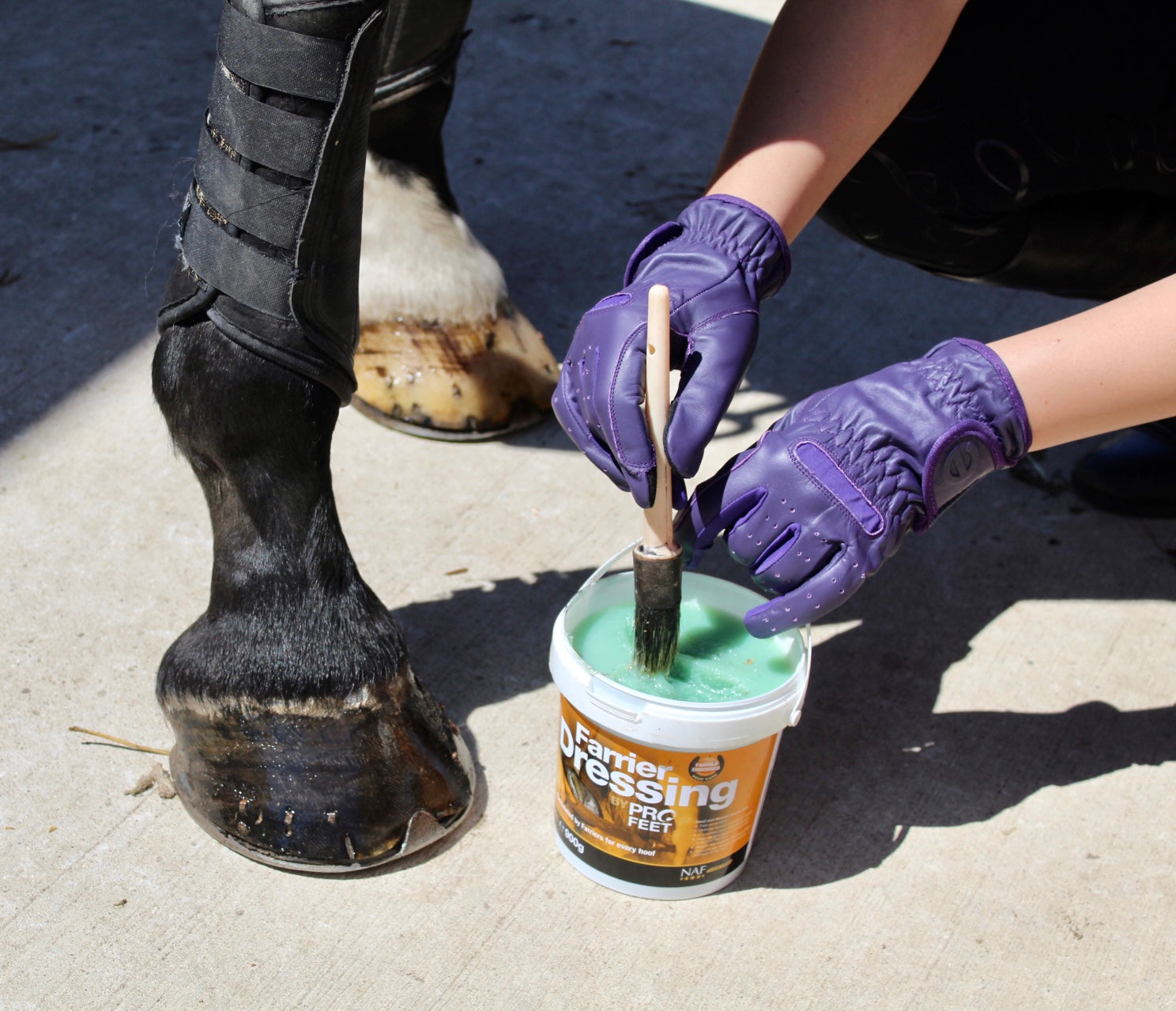 eQUEST GripPro LEATHER Equestrian Riding Gloves - Purple