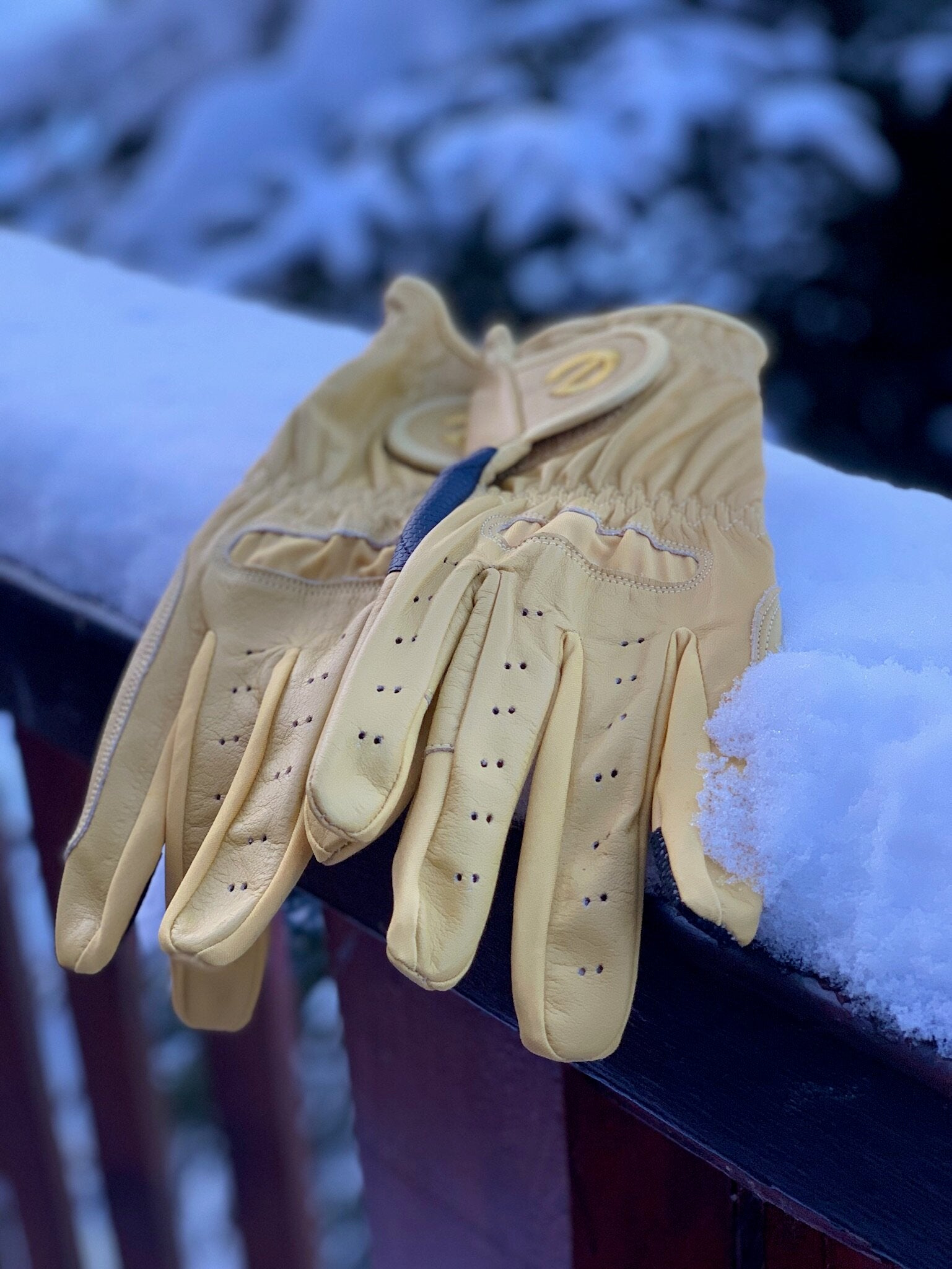 eQUEST GripPro LEATHER Equestrian Riding Gloves - Beach