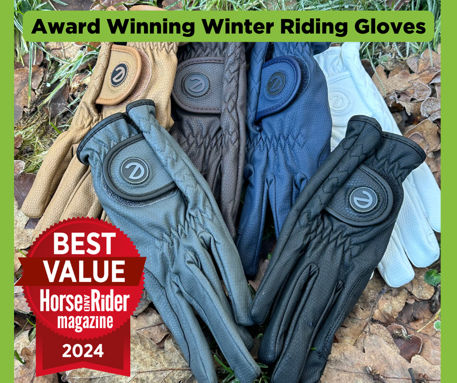 Picture of eGLOVE GripPro Winter Edition equestrian gloves and the Best Value award