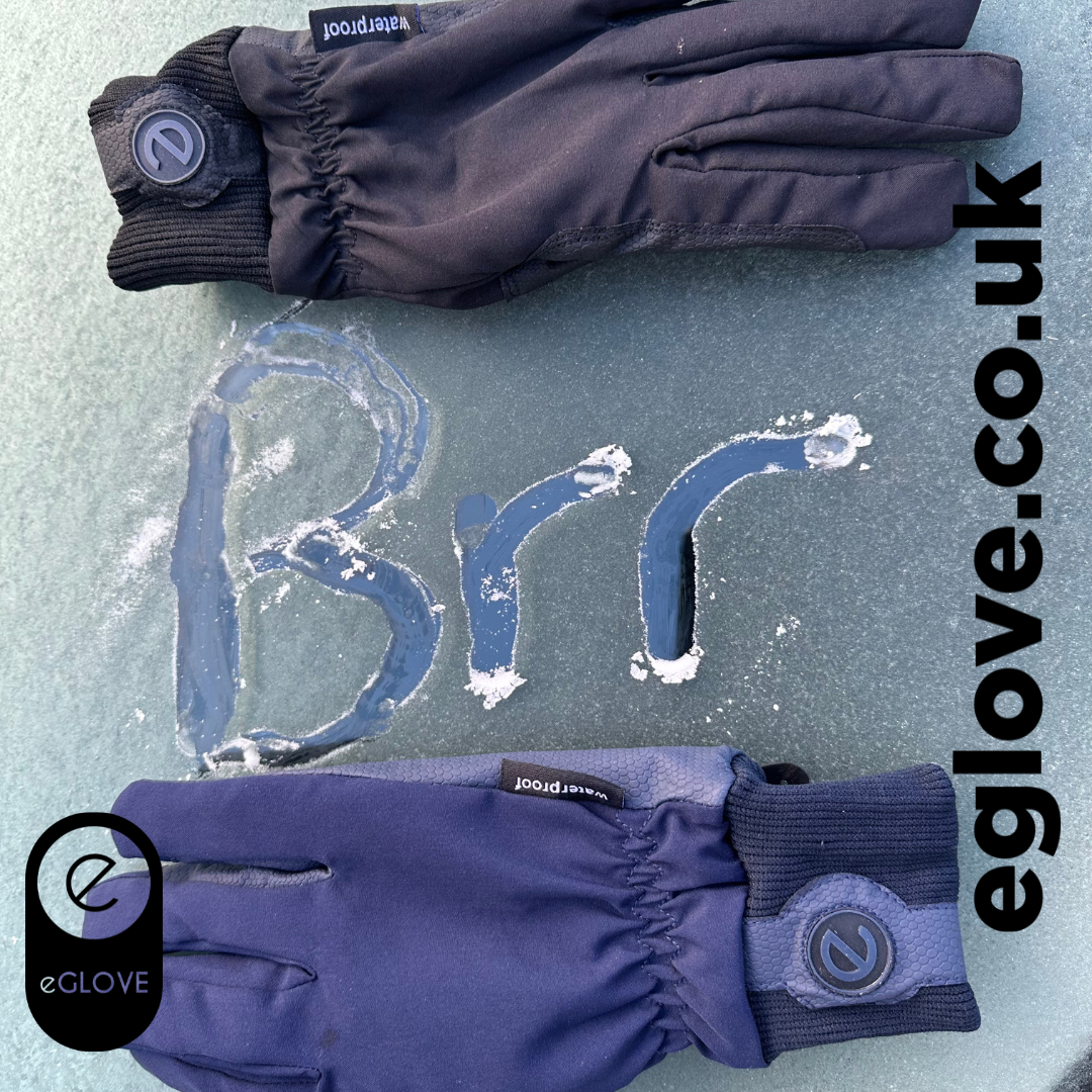 Winter Equestrian Gloves