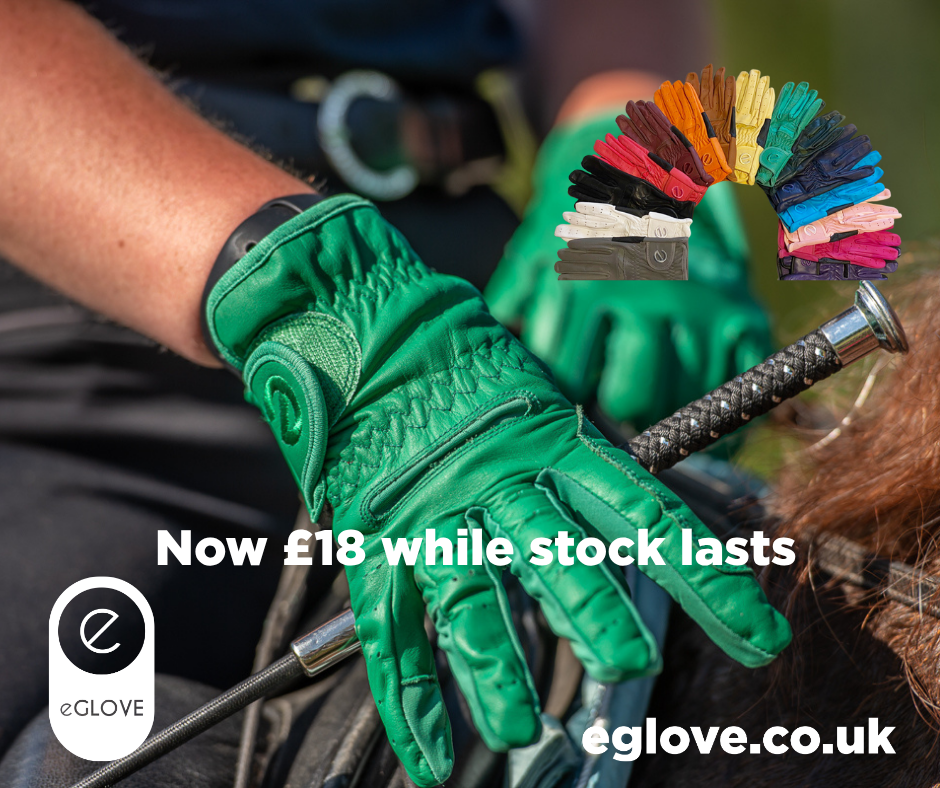 Equestrian Sale Gloves