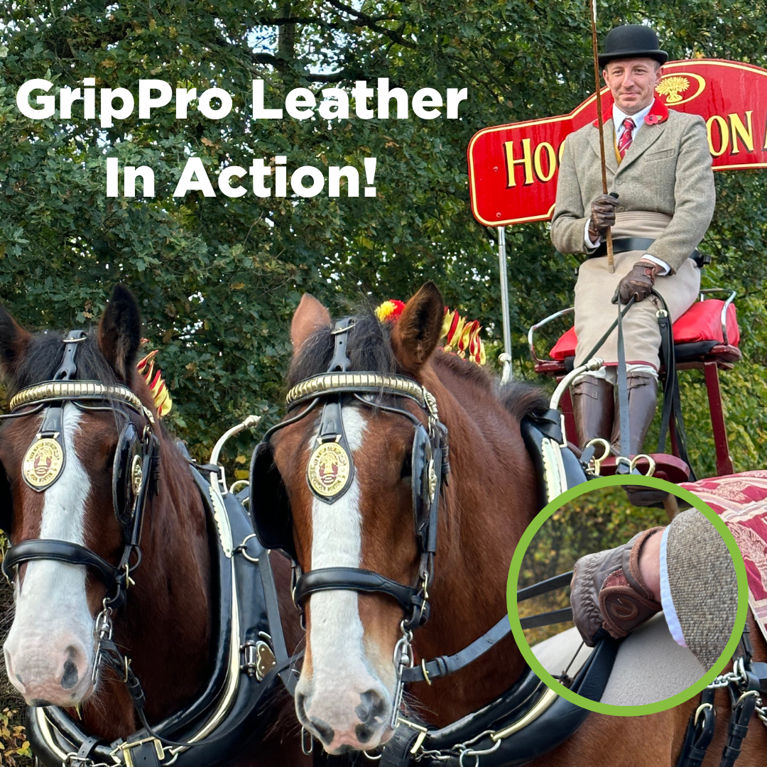 eQUEST GripPro LEATHER - Equestrian Riding Gloves - Chocolate Brown