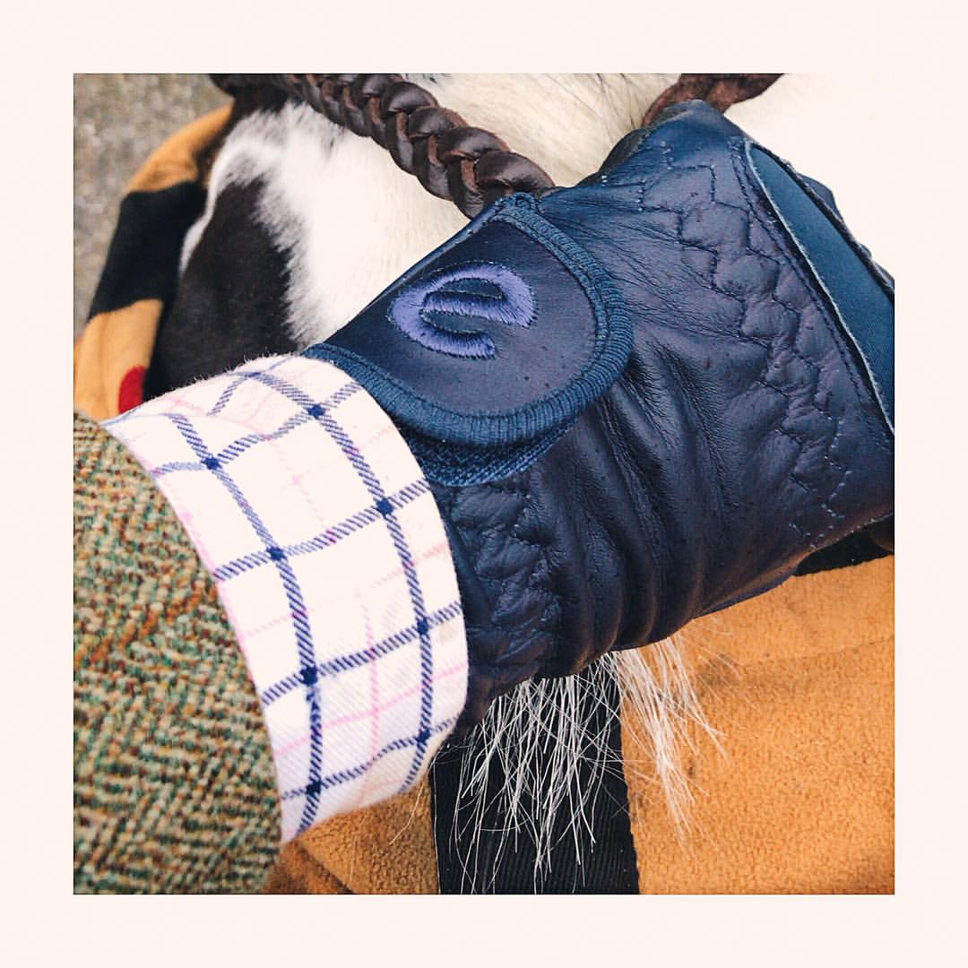 eQUEST GripPro LEATHER - Equestrian Riding Gloves - Navy Blue