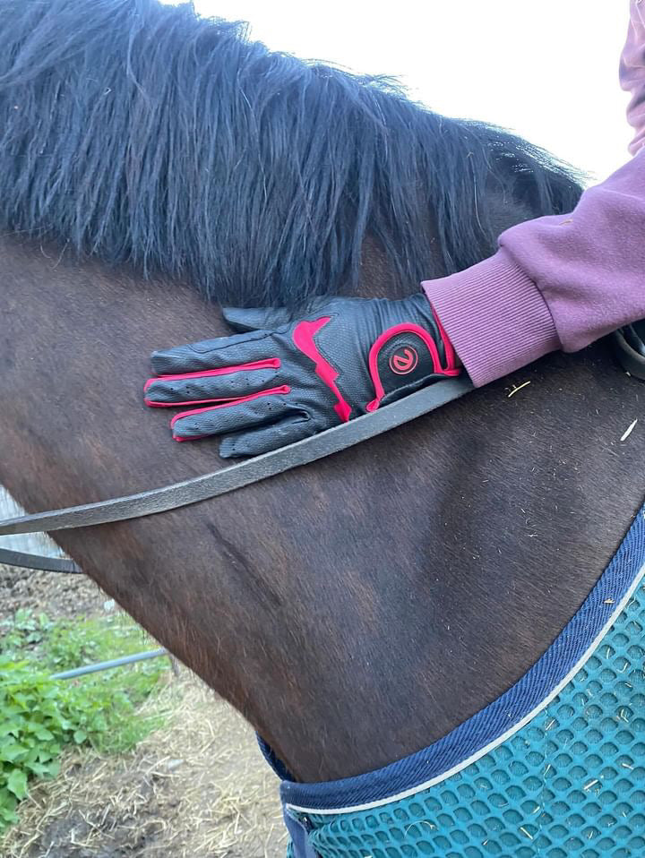 eQUEST GripPro LITE v3 Equestrian Gloves - Black / Red