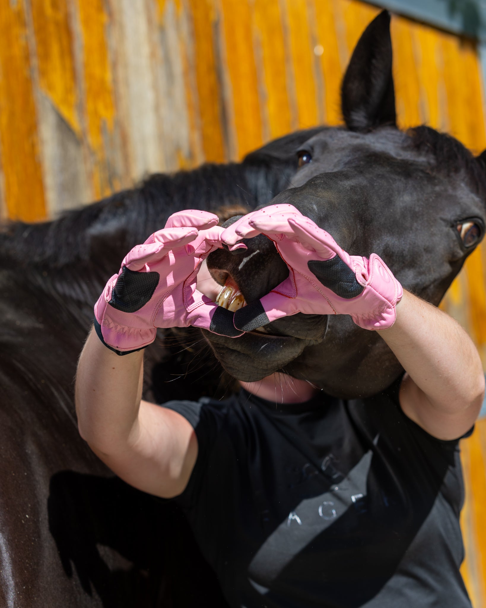 eQUEST GripPro LEATHER Equestrian Riding Gloves - Blush Pink