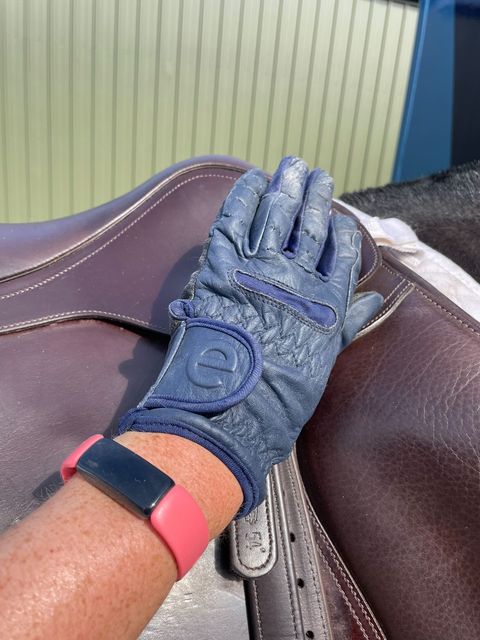 eQUEST GripPro LEATHER - Equestrian Riding Gloves - Navy Blue