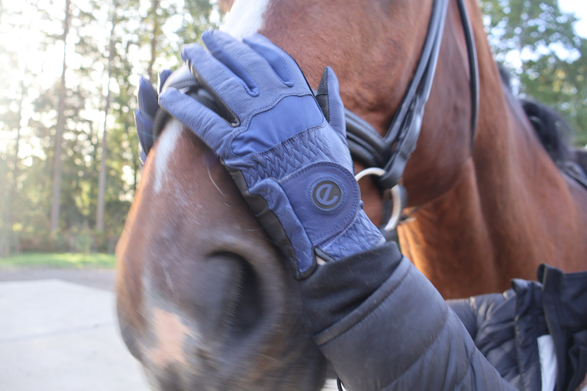 eQUEST GripPro LEATHER Riding Gloves - Navy Blue | Cabretta Palm & Goat Leather Back