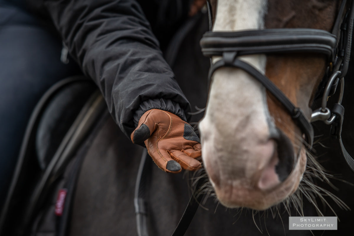eQUEST GripPro LEATHER Equestrian Riding Gloves - Tan