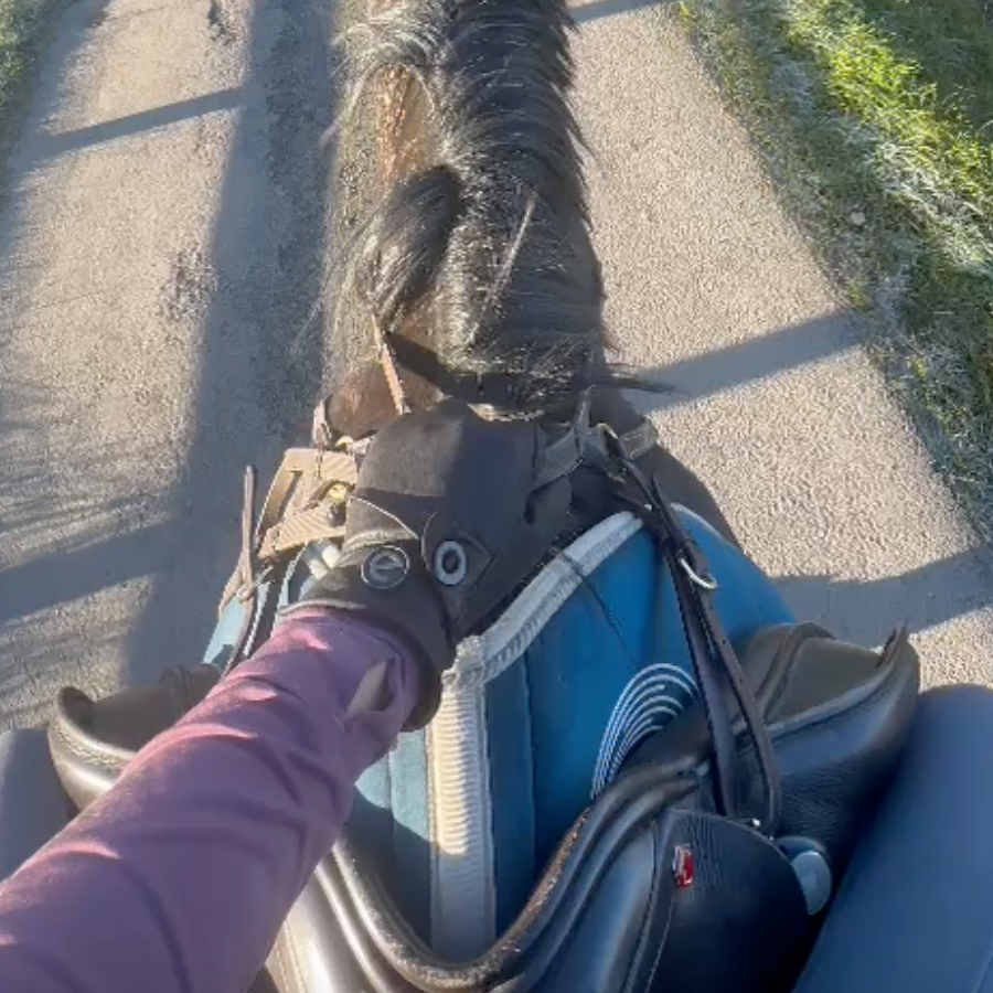 eQUEST GripPro Western Equestrian Riding Gloves  - Leather - Thinsulate Lined - Black