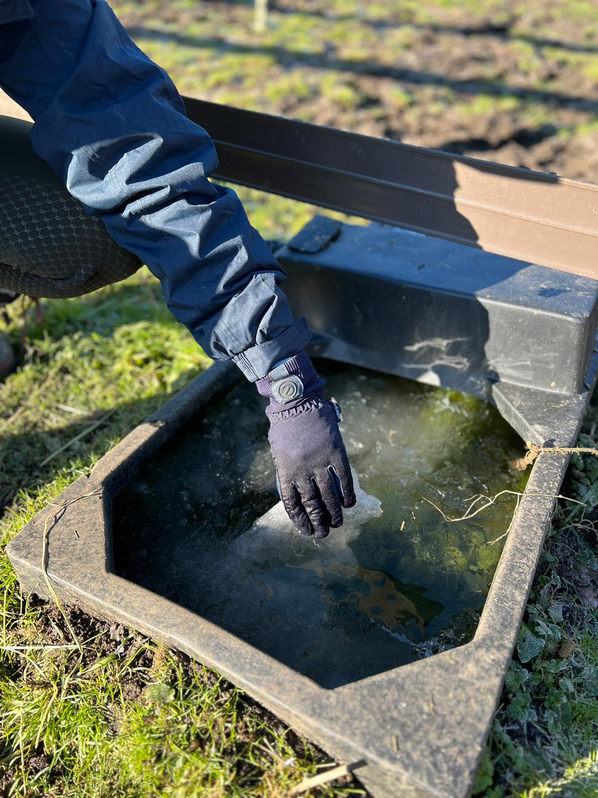 eQUEST Waterproof - Award Winning Waterproof Equestrian Riding & Yard Gloves - Black