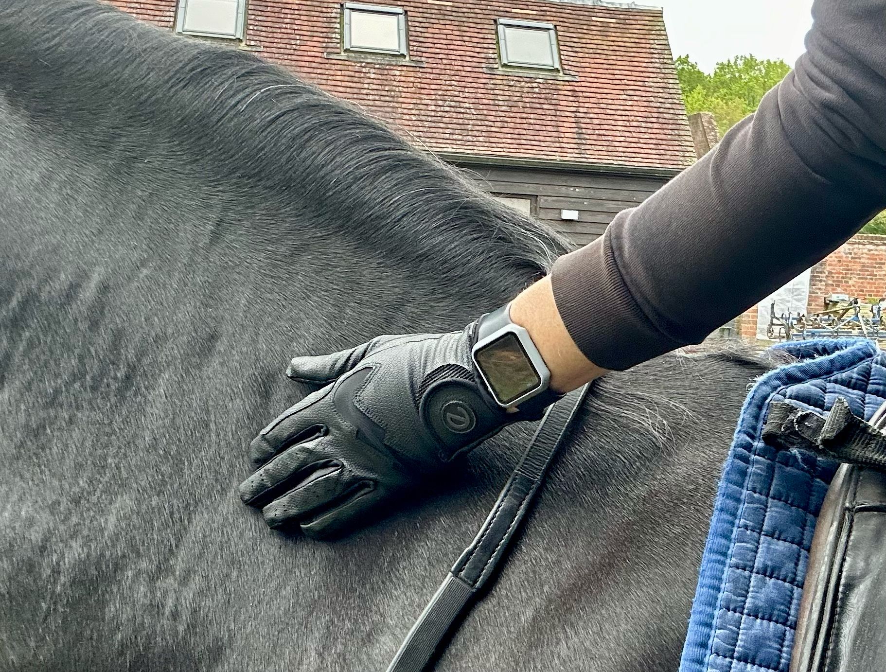 eQUEST GripPro LITE v3 Equestrian Gloves - Black / Black