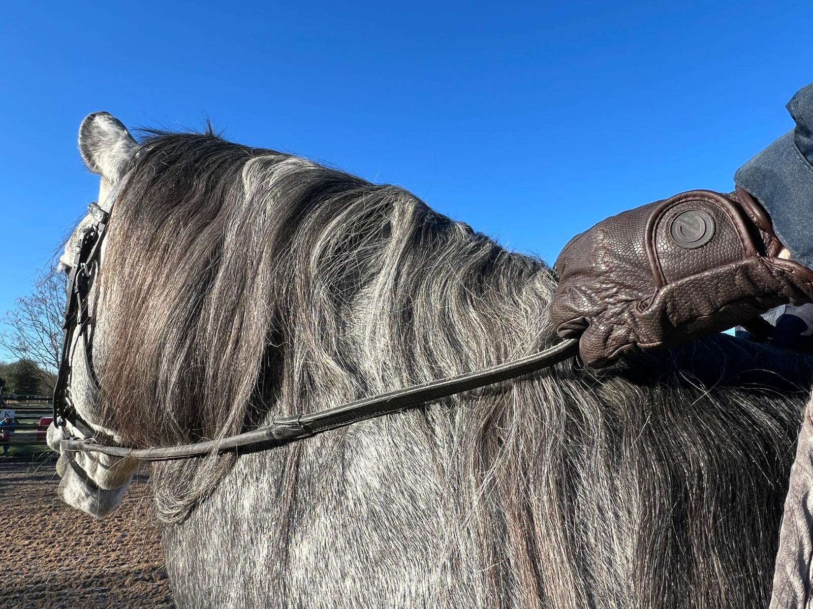 eQUEST GripPro Winter Edition Waterproof Riding Gloves – Brown | Warm, Dry & Touchscreen