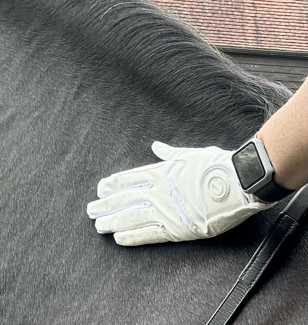 eQUEST GripPro LITE v3 Equestrian Gloves - White / White