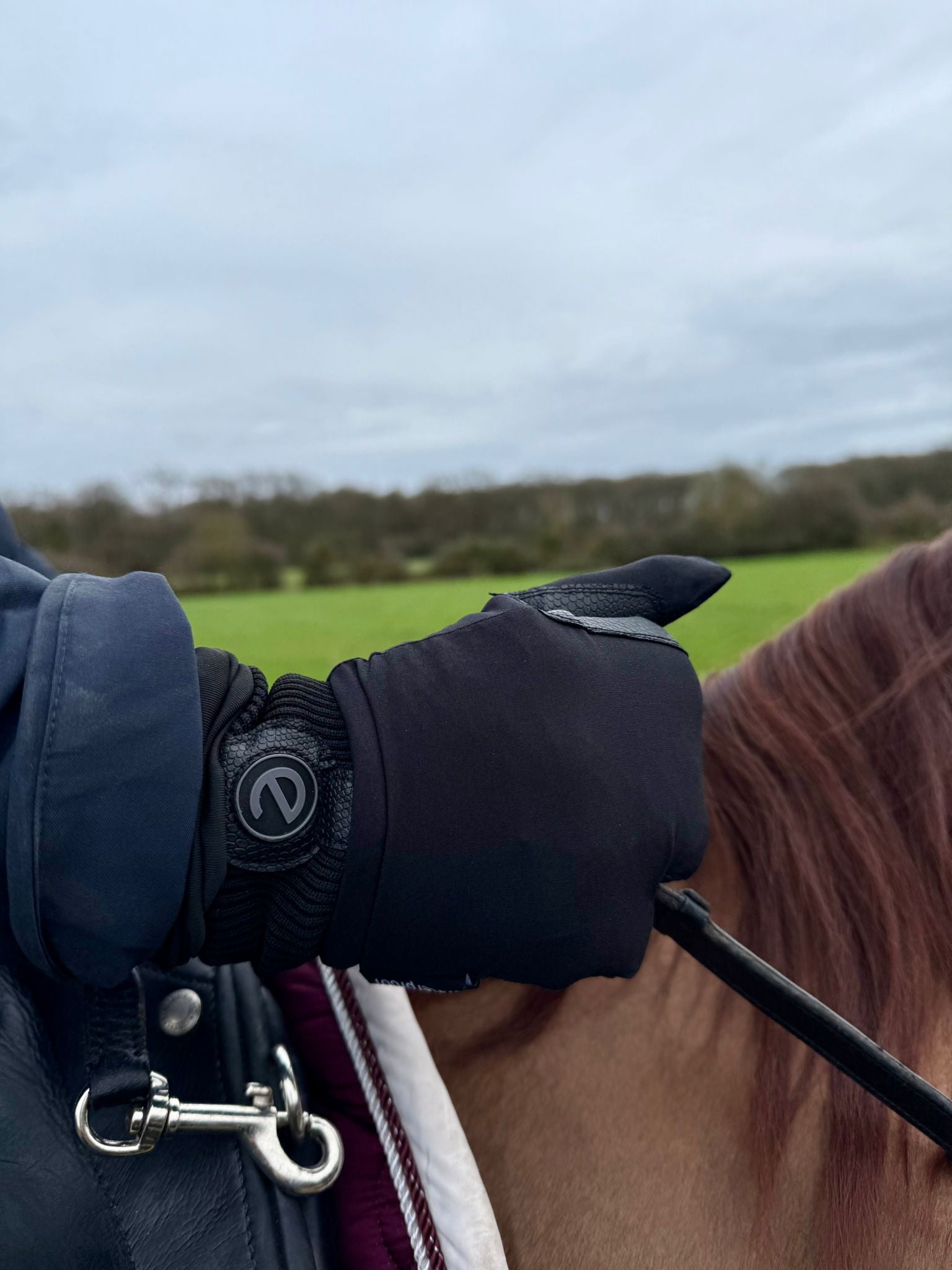 eQUEST Waterproof Mitt - eGLOVE x Forelock & Fringe Equestrian Riding & Yard Mitt - Black