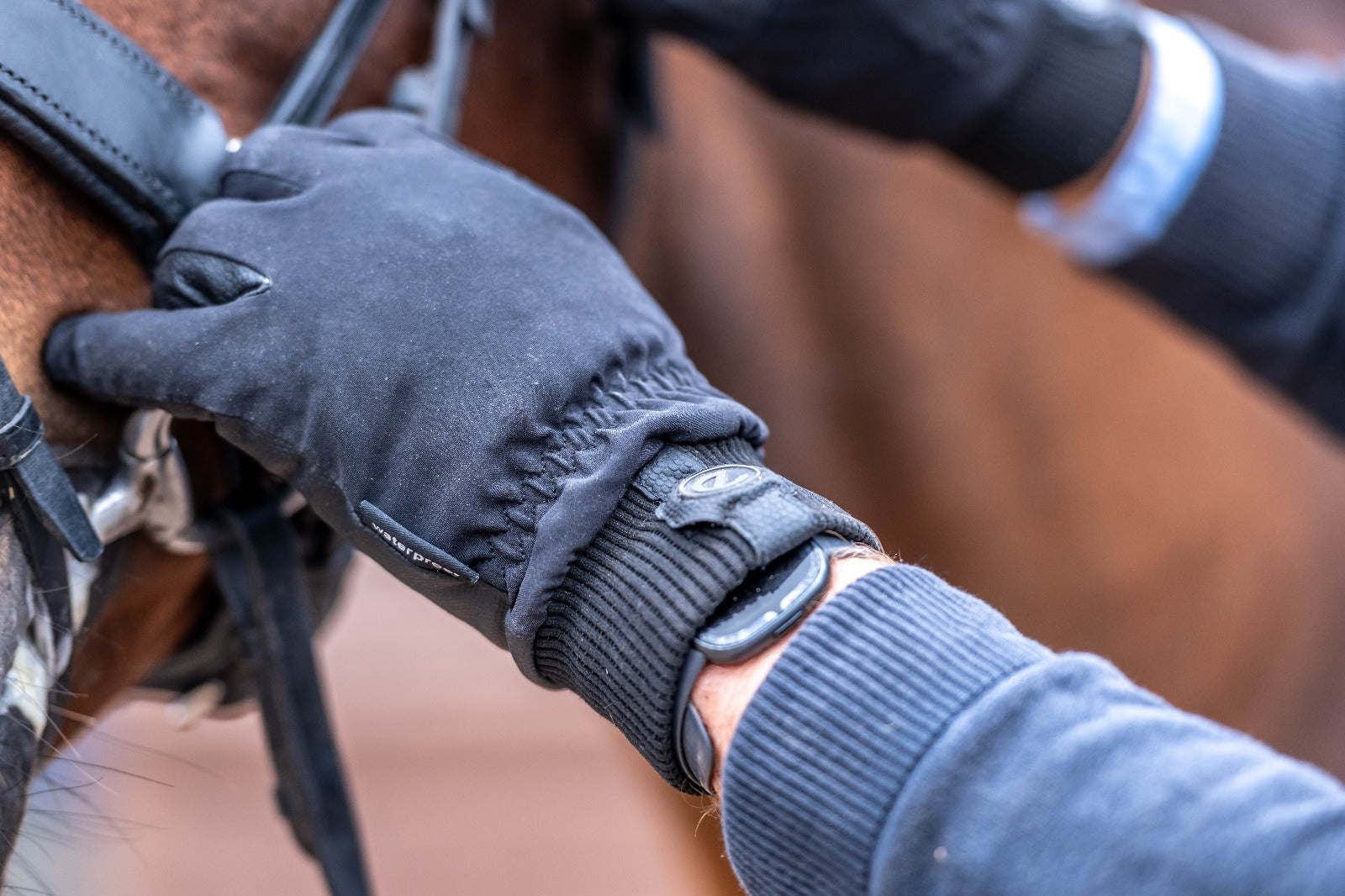 eQUEST Waterproof - Equestrian Riding & Yard Gloves - Black