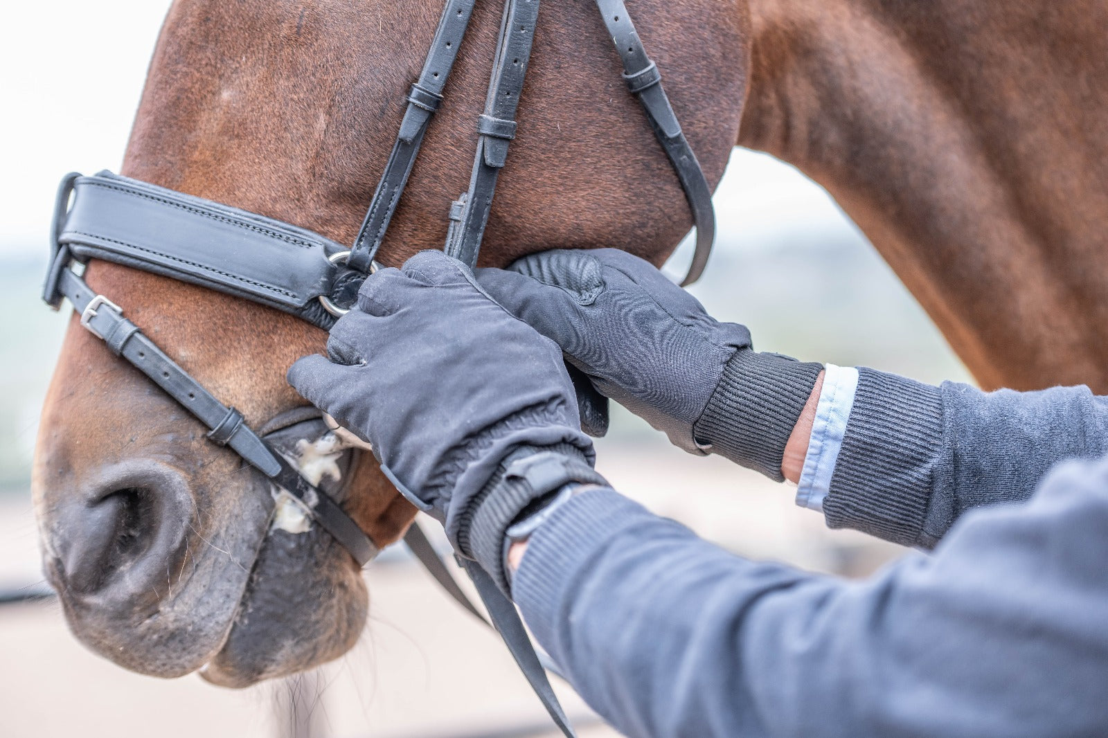 eQUEST Waterproof - Equestrian Riding & Yard Gloves - Black