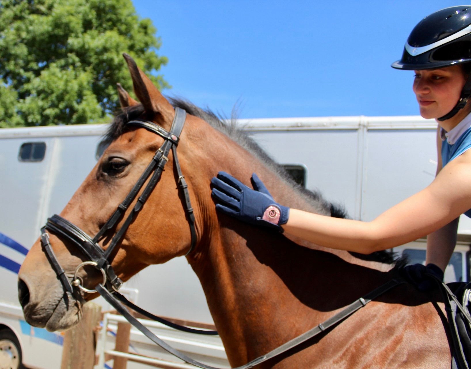eQUEST GripPro X-LITE Lightweight Equestrian Gloves - Blue & Rose Gold Glitter